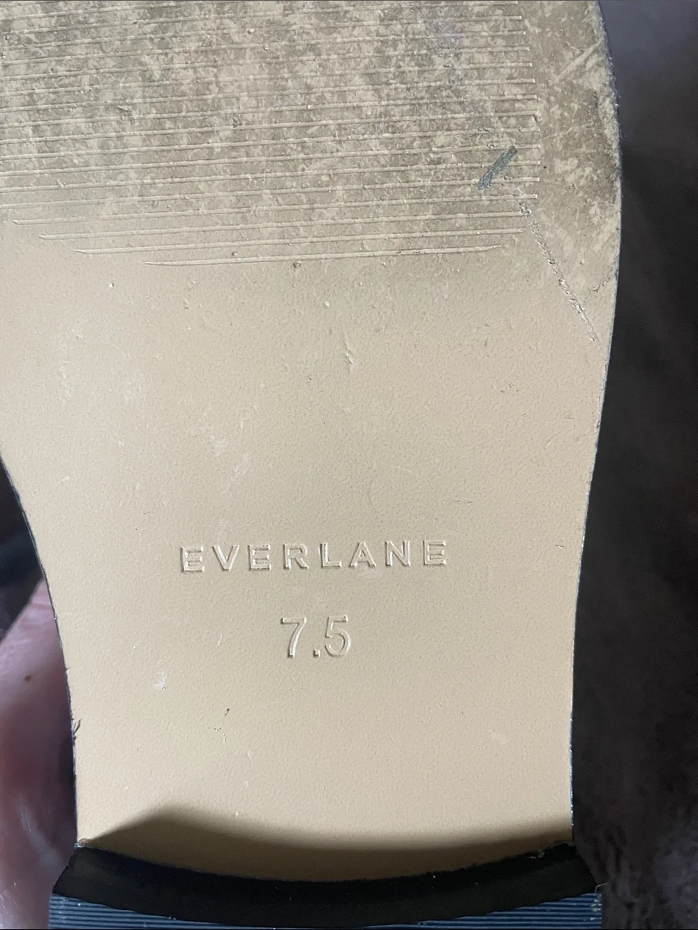 Everlane Chestnut Leather Penny Loafers - Picture 7 of 7